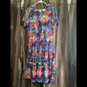 Lularoe floral print multi color dress size 2XL